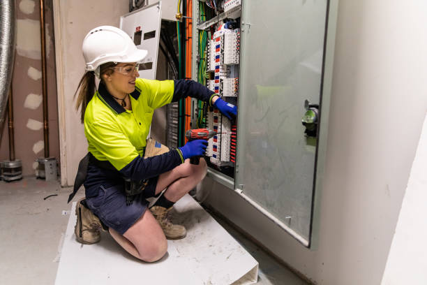 Best Electrical System Inspection  in Penitas, TX
